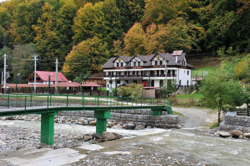 Pensiunea Ciprian Куртя-де-Арджеш Екстер'єр фото